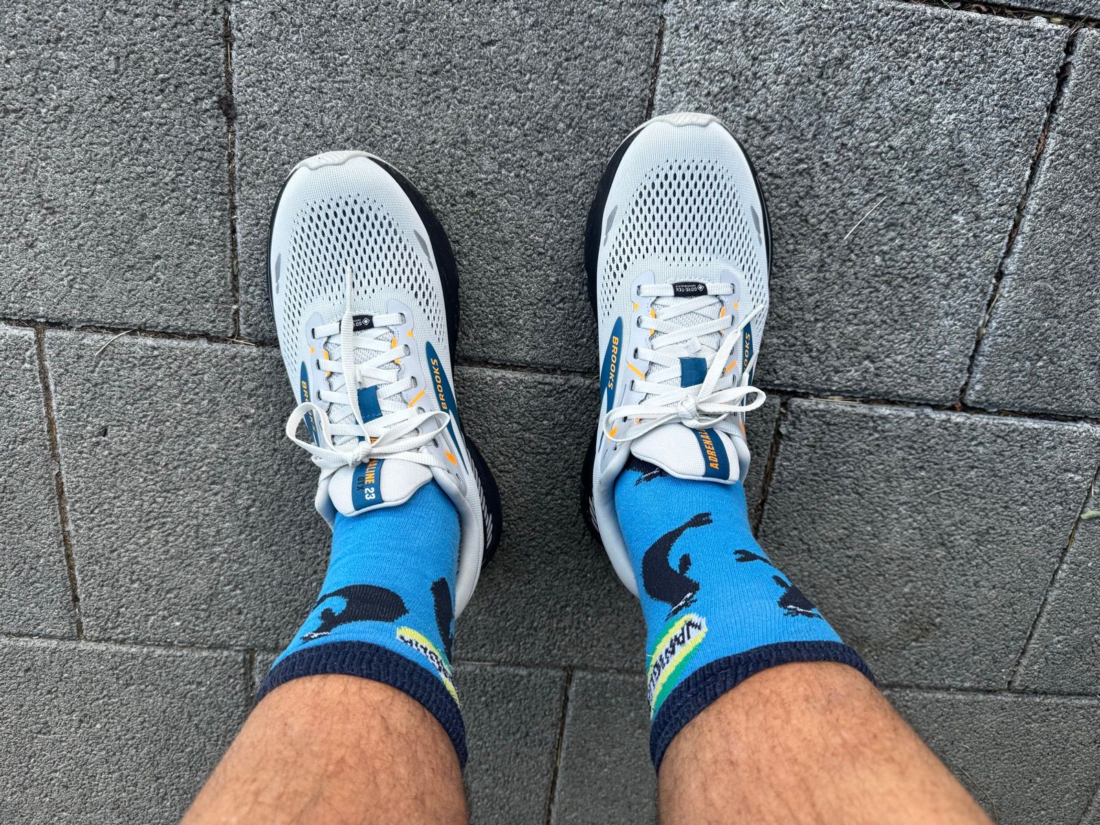Laufbild