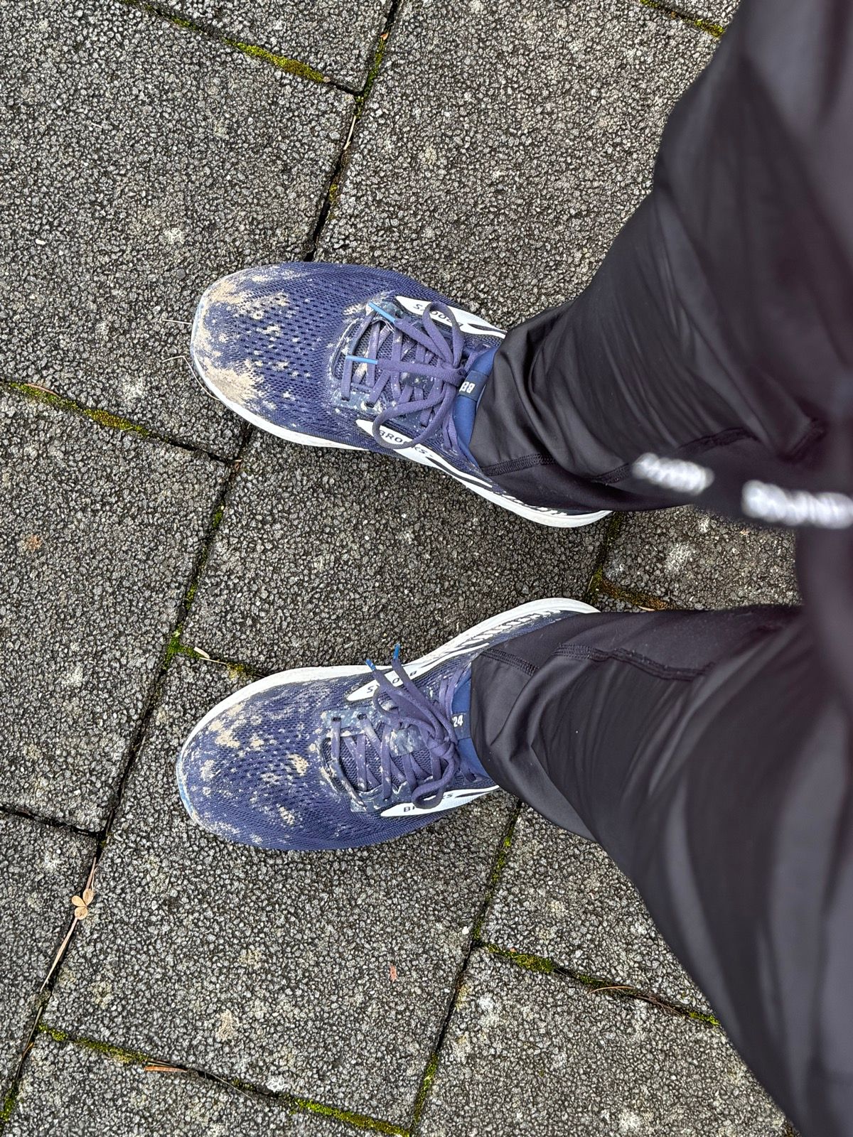 Laufbild
