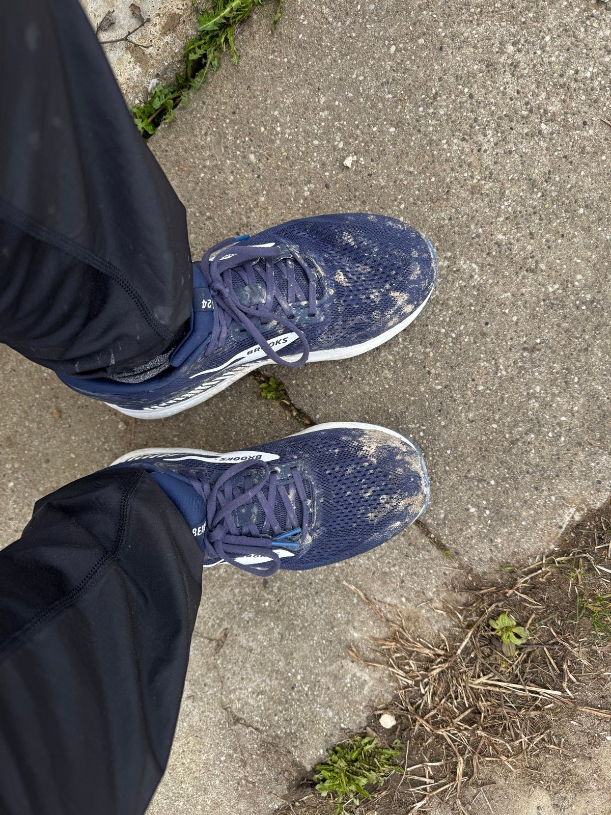 Laufbild