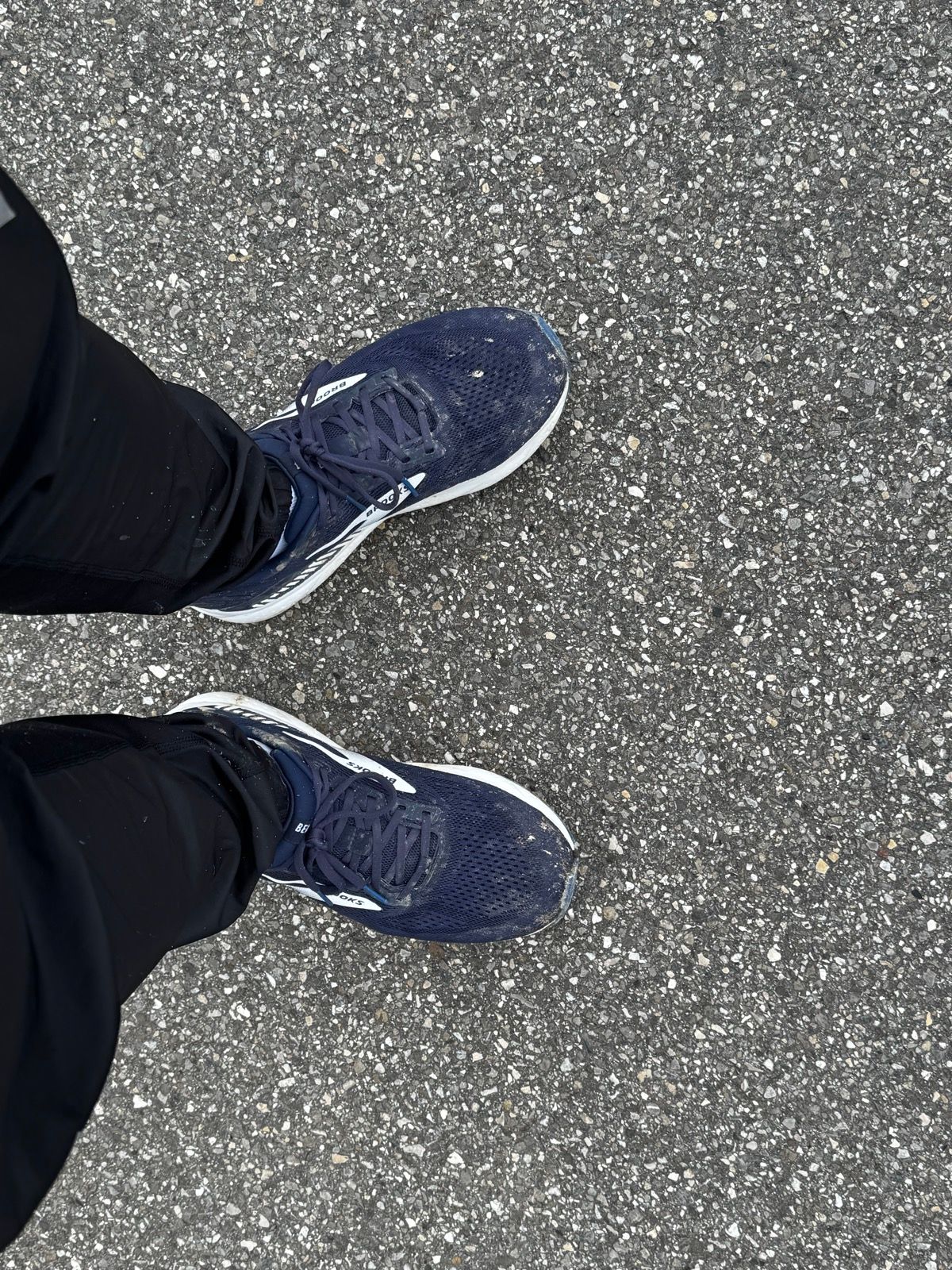 Laufbild